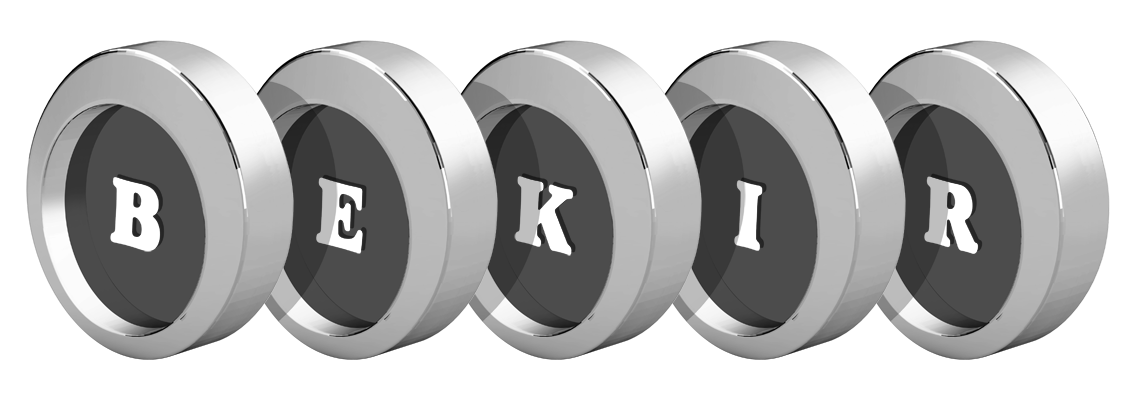 Bekir coins logo