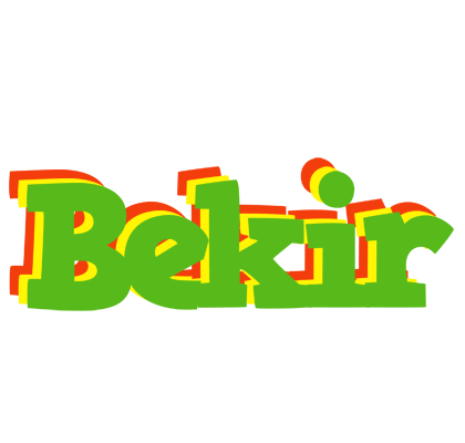 Bekir crocodile logo