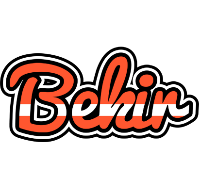 Bekir denmark logo