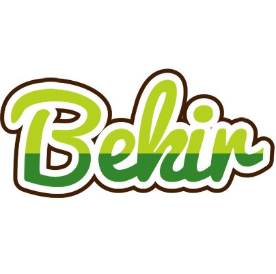 Bekir golfing logo