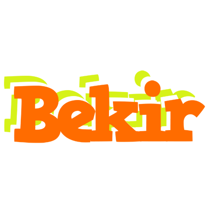 Bekir healthy logo