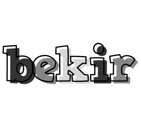 Bekir night logo