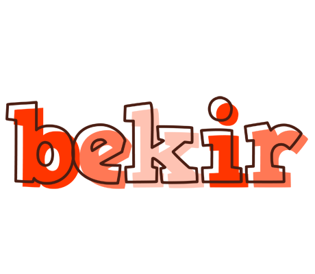 Bekir paint logo