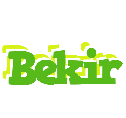 Bekir picnic logo