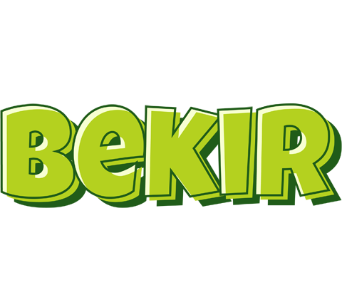 Bekir summer logo