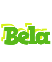 Bela picnic logo