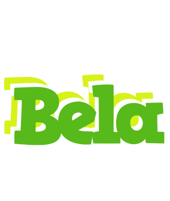 Bela picnic logo