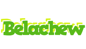 Belachew picnic logo