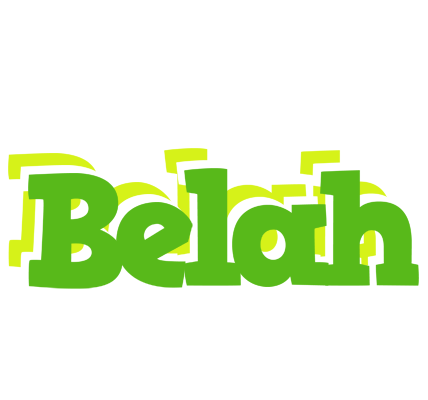 Belah picnic logo