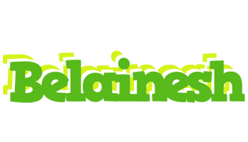 Belainesh picnic logo