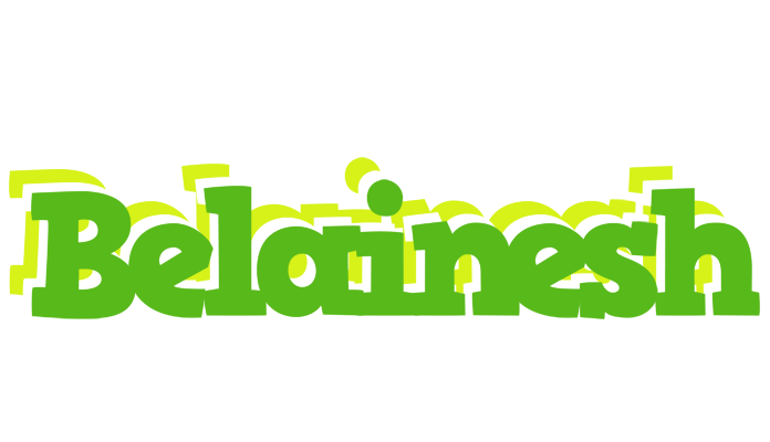 Belainesh picnic logo