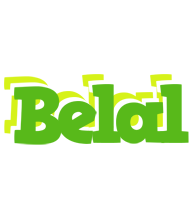 Belal picnic logo