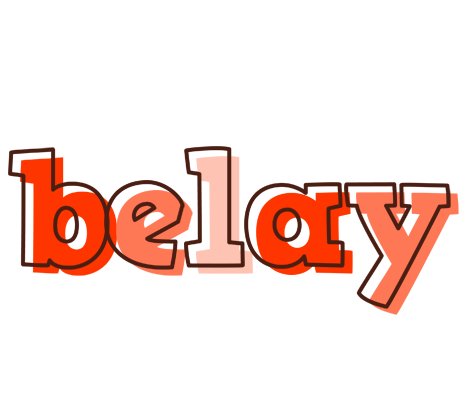 Belay paint logo