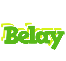 Belay picnic logo