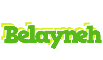 Belayneh picnic logo