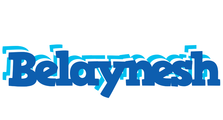 Belaynesh business logo
