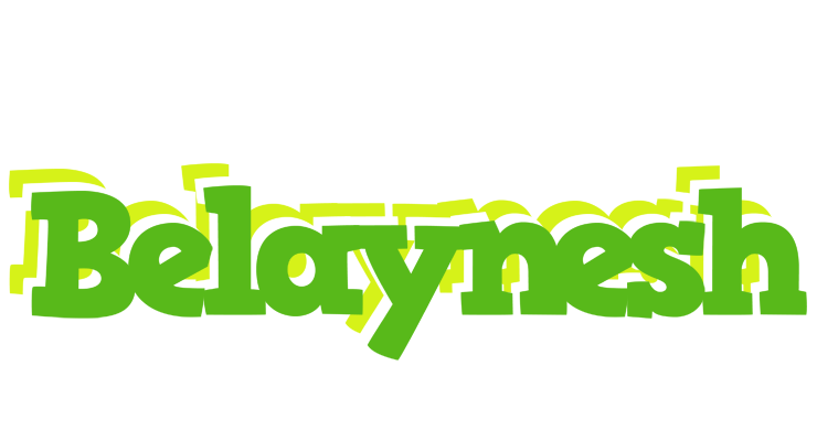 Belaynesh picnic logo
