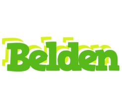 Belden picnic logo