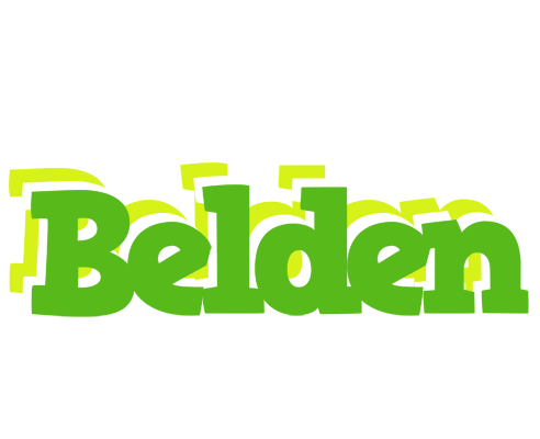 Belden picnic logo