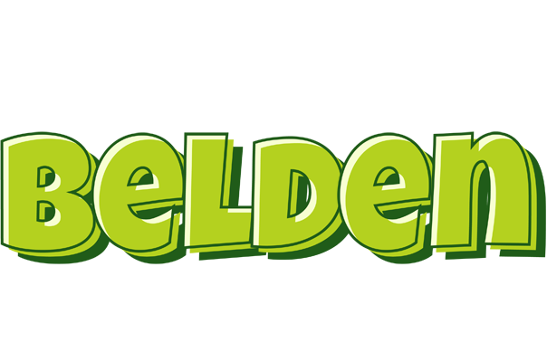 Belden summer logo