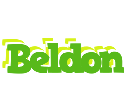 Beldon picnic logo