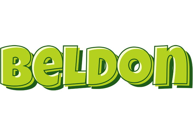 Beldon summer logo