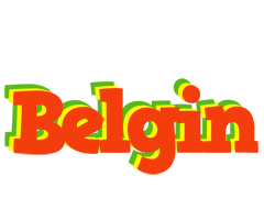 Belgin bbq logo