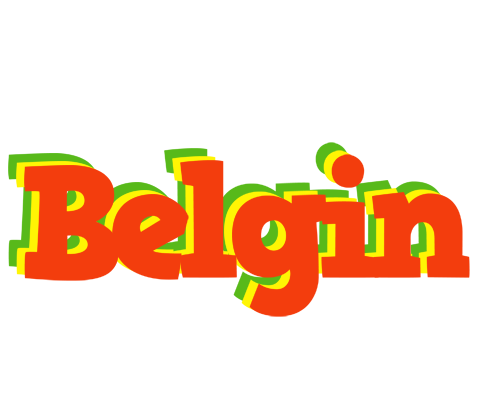 Belgin bbq logo