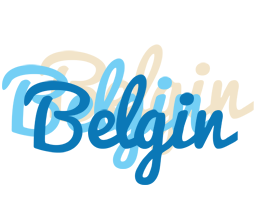 Belgin breeze logo