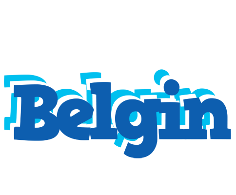 Belgin business logo