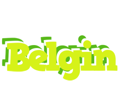 Belgin citrus logo