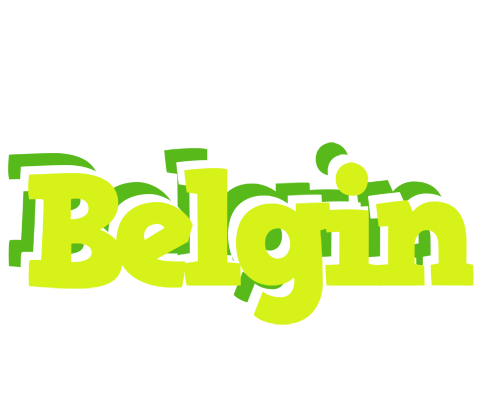 Belgin citrus logo