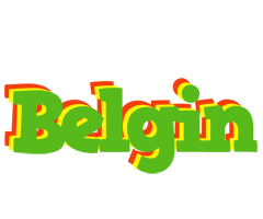 Belgin crocodile logo