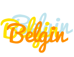 Belgin energy logo