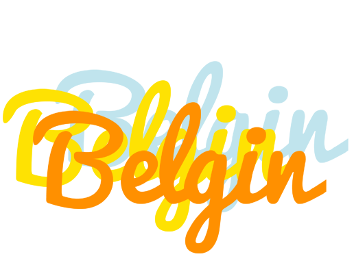 Belgin energy logo