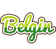 Belgin golfing logo