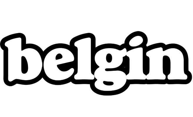 Belgin panda logo