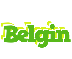 Belgin picnic logo