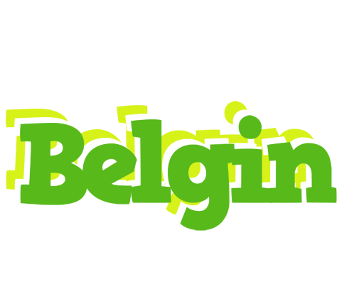 Belgin picnic logo