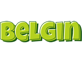 Belgin summer logo