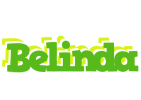 Belinda picnic logo