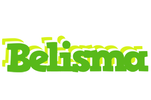 Belisma picnic logo