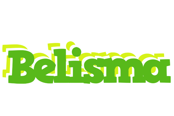 Belisma picnic logo