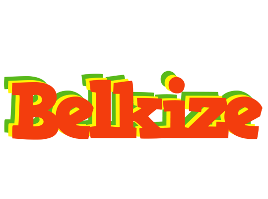 Belkize bbq logo