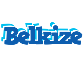 Belkize business logo