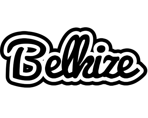 Belkize chess logo