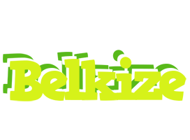 Belkize citrus logo