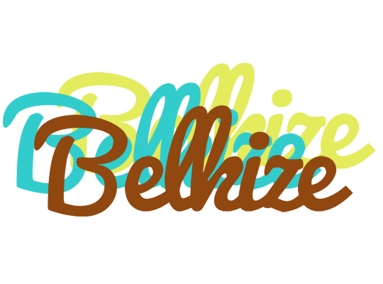 Belkize cupcake logo
