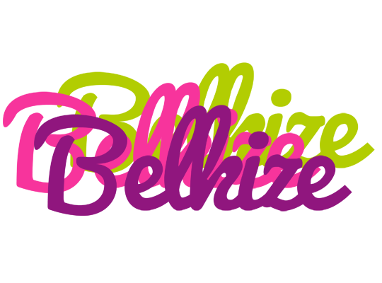 Belkize flowers logo