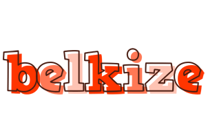 Belkize paint logo